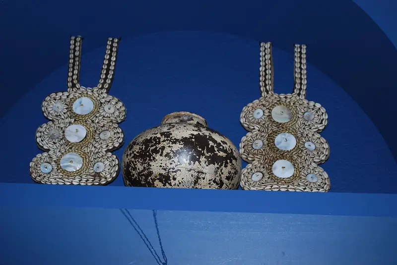 Plastrons en coquillages