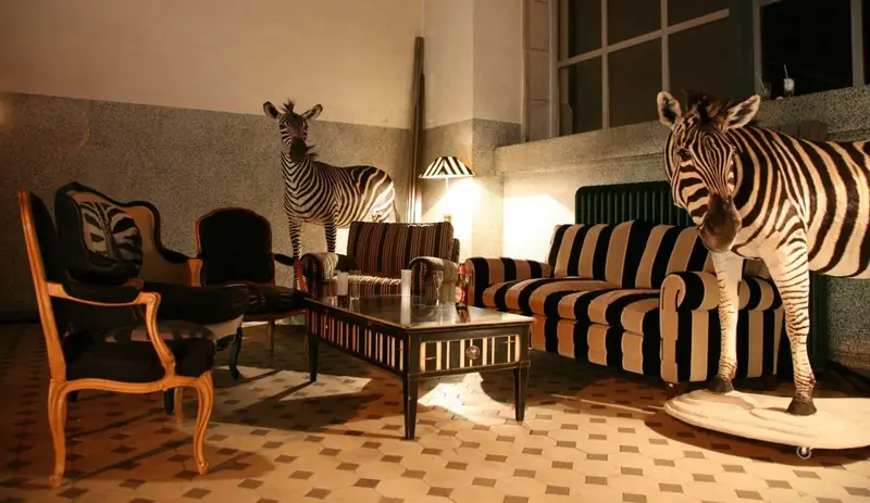 Salon aux zèbres, ambiance de la galerie Crise de Bourge